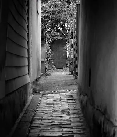 Le Joli'mans, Refait A Neuf, Entierement Equipe, Pour 2 Personnes, Proche Quartier Historique Et Centre * לה מאנש